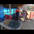 Nicht der einzige Muschelverkäufer in dieser Gegend